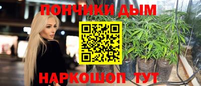mdma Камышлов