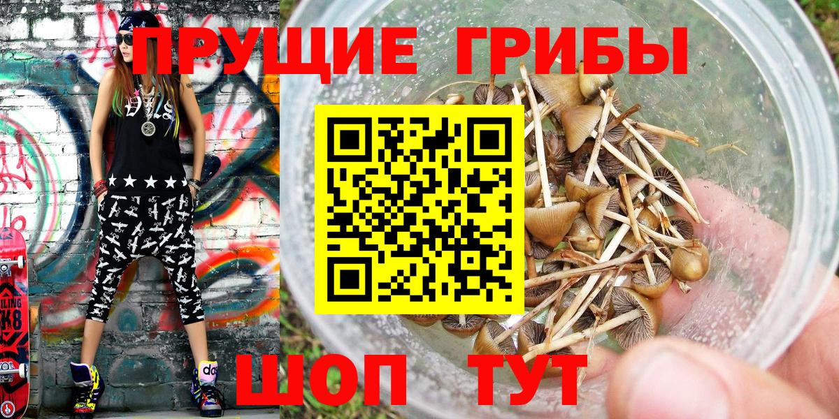 Псилоцибиновые грибы Psilocybine cubensis  Вход с VPN  Лесозаводск  Галлюциногенные грибы GOLDEN TEACHER 