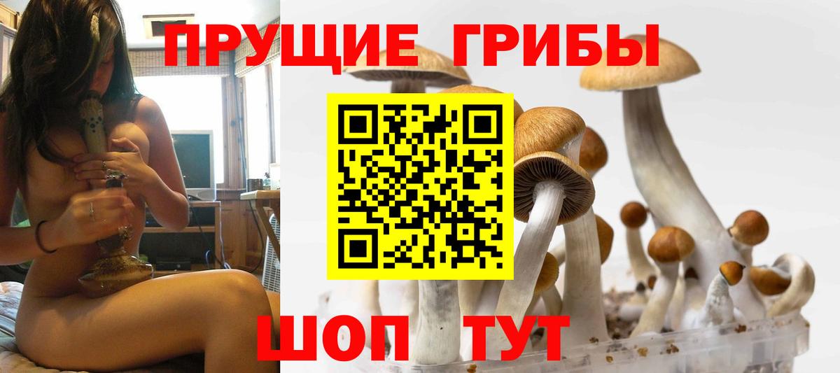 Галлюциногенные грибы ЛСД Лесозаводск